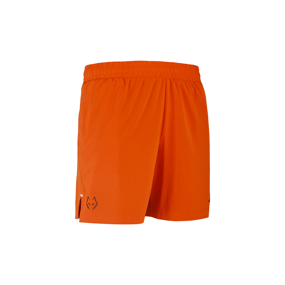 Short Lebron.