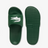 Serve Slides 1.0.