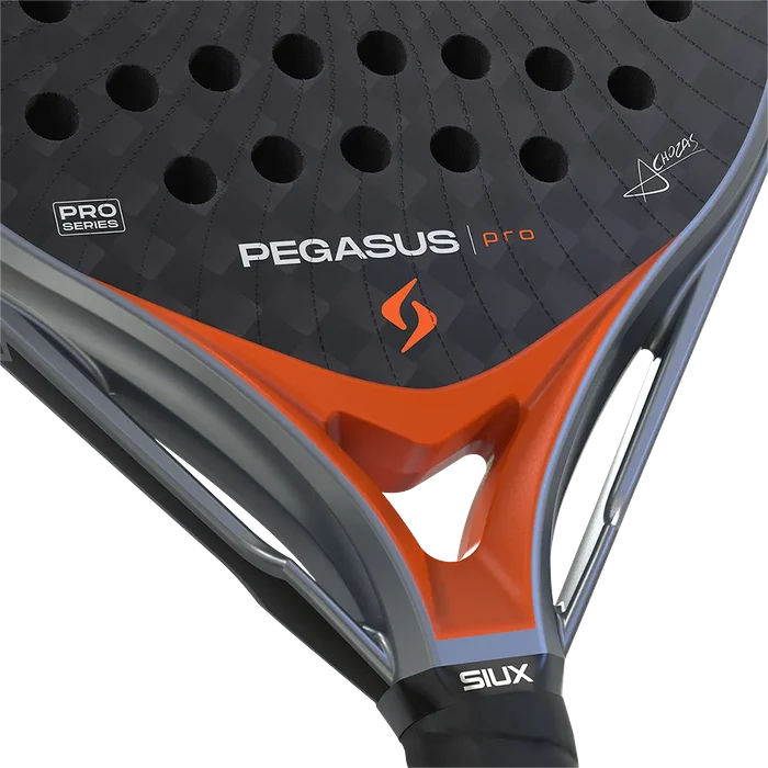 Pegasus Pro - 2026