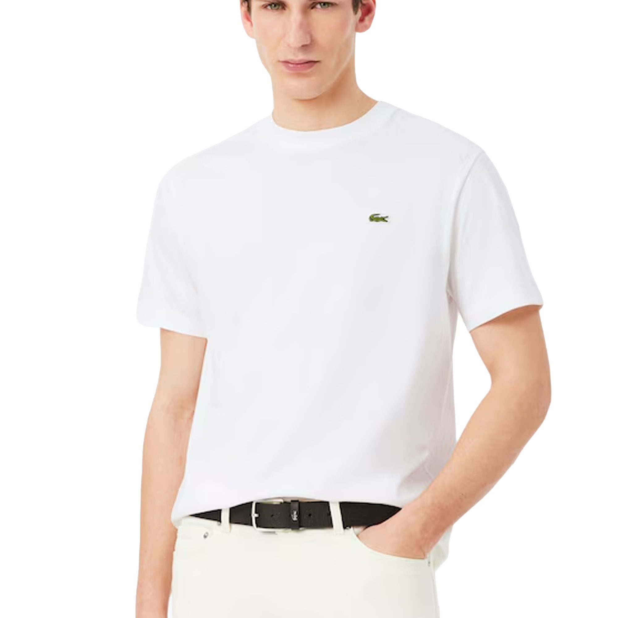 Cotton T-Shirt Classic Fit (LP)