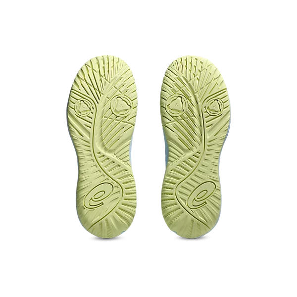 Résolution du gel X GS.