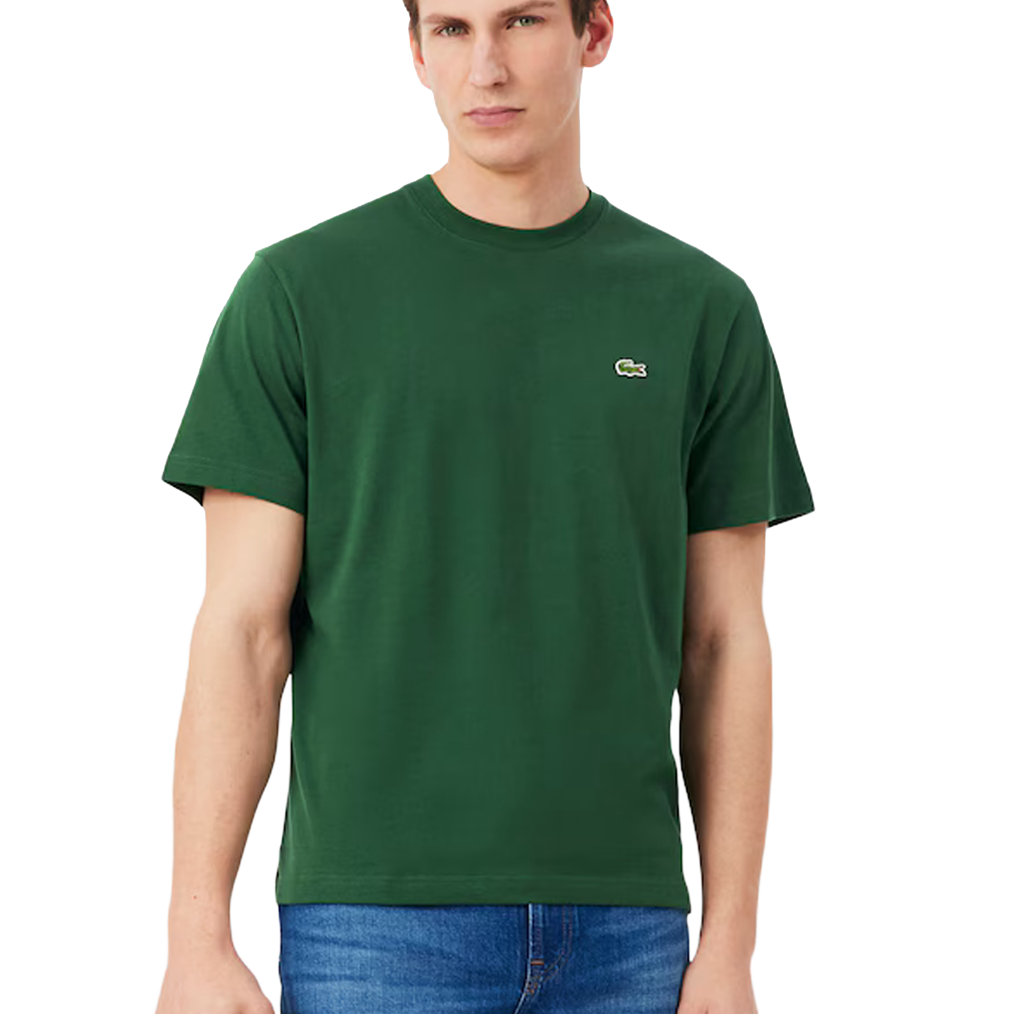 Cotton T-Shirt Classic Fit (LP)