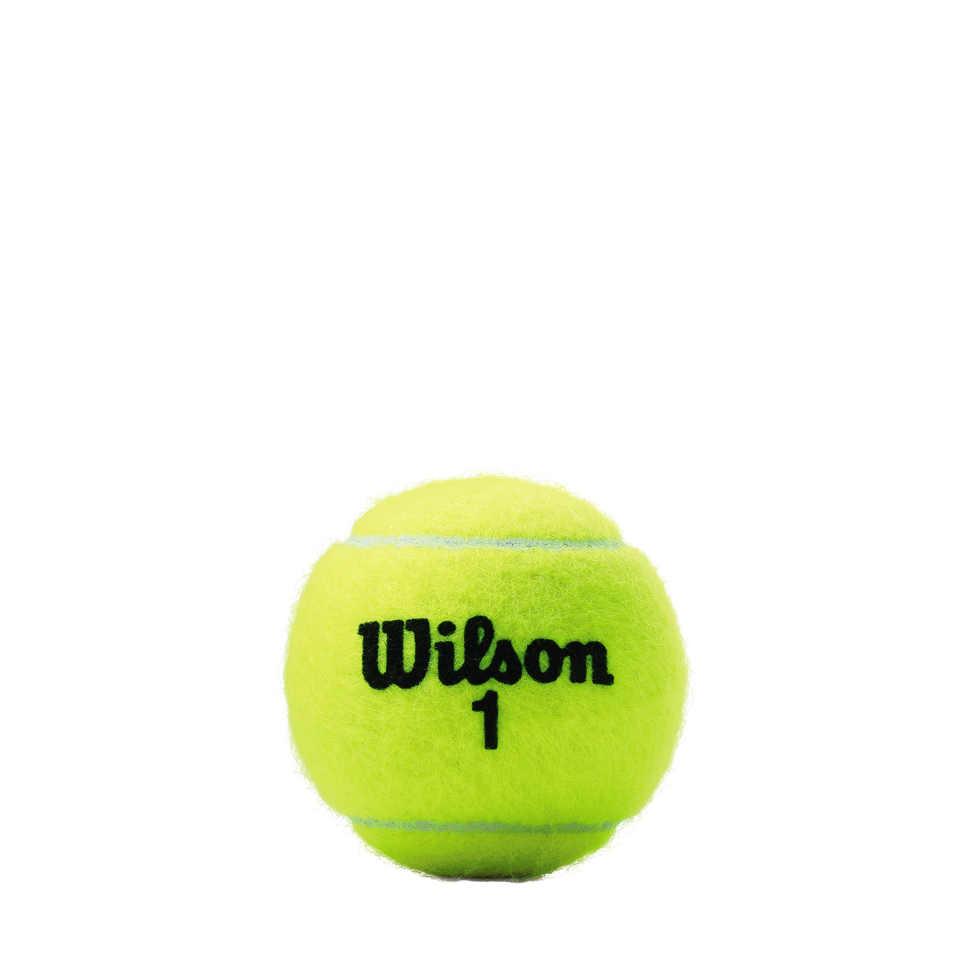 Wilson Championship Regular Duty - Canette individuel (3 balles)