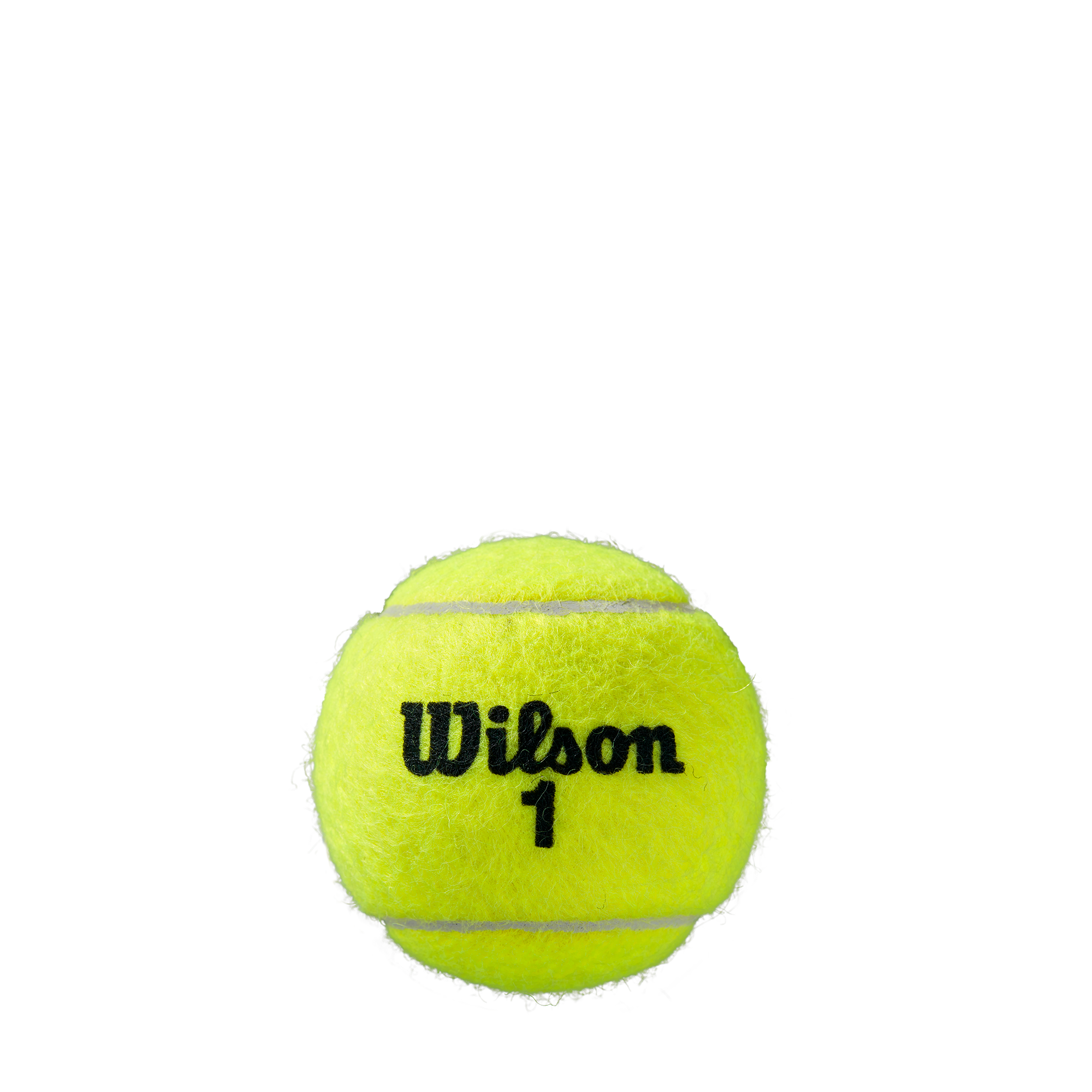 Wilson Roland Garros Clay - Bidon Individuel (3 Balles)